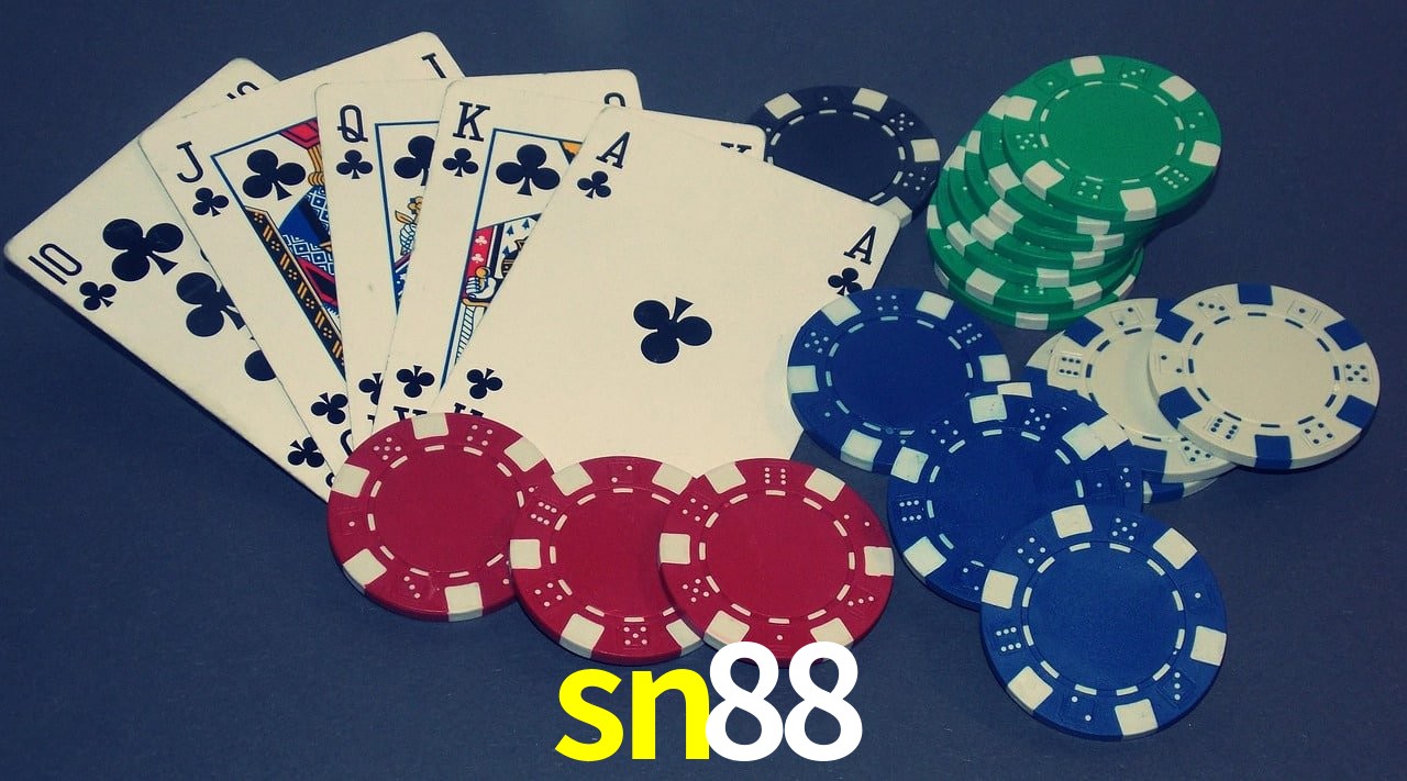 API Integration sn88